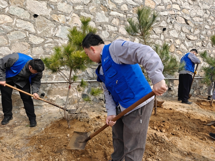 植树节丨建设绿色万赢娱乐 弘扬雷锋精神-万赢娱乐要闻-万赢娱乐
